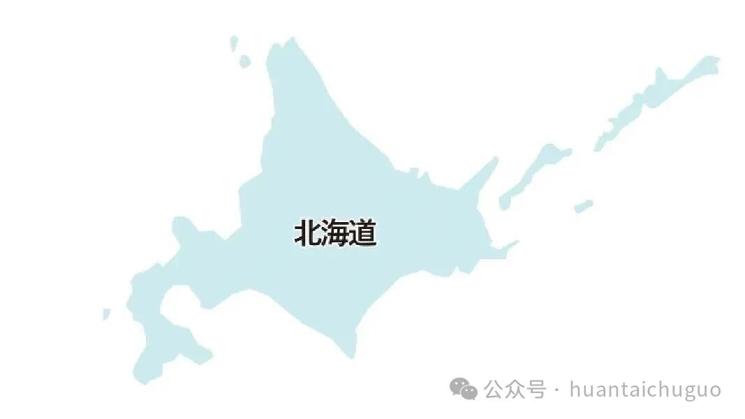 8138fac4-40dc-4083-add4-06ea8000e976.jpg